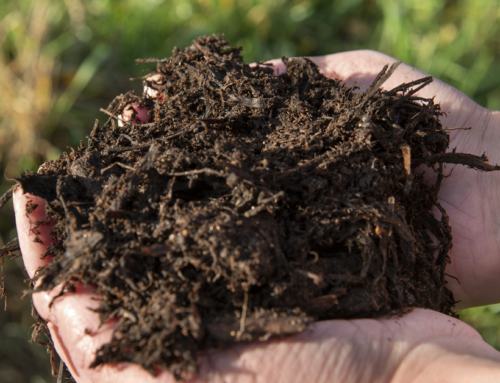 AhlmanEdun bioaktiivisen kompostin ravinnepitoisuudet vakuuttavat