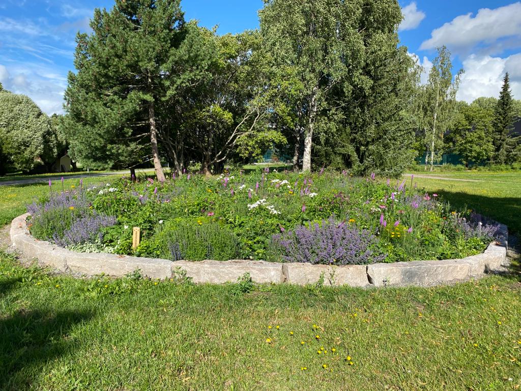 Jukolanpuiston dynaaminen istutus, kuva Anu Hiiterä