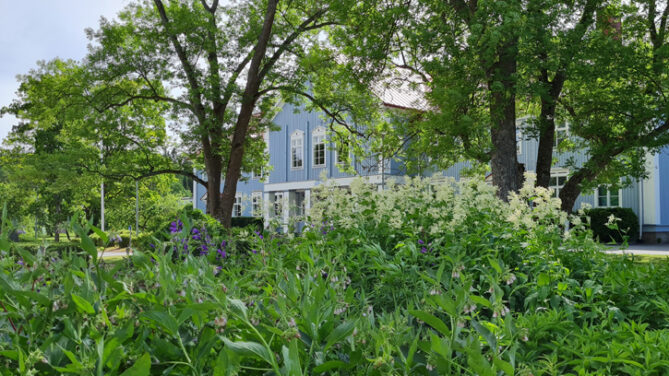 Green Flag Award AhlmanEdu