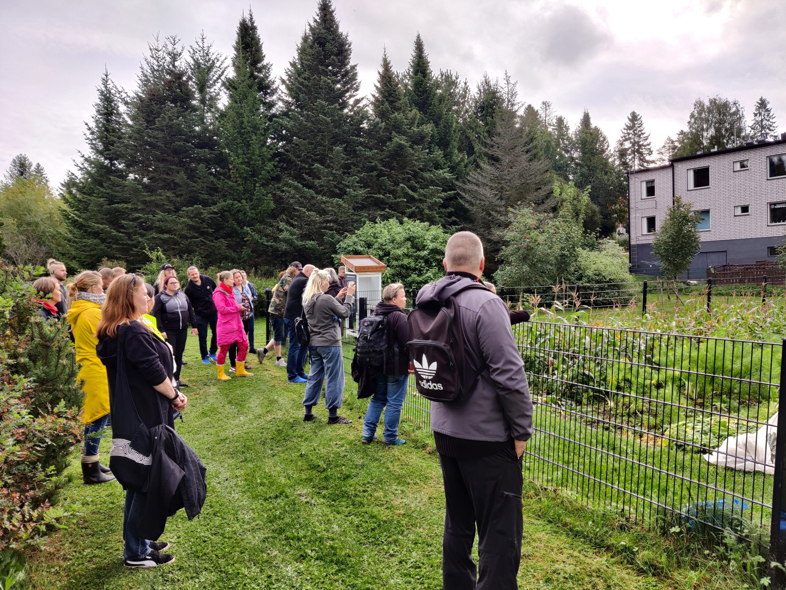 Pysyvä penkkiviljelmä, hlmanEdu