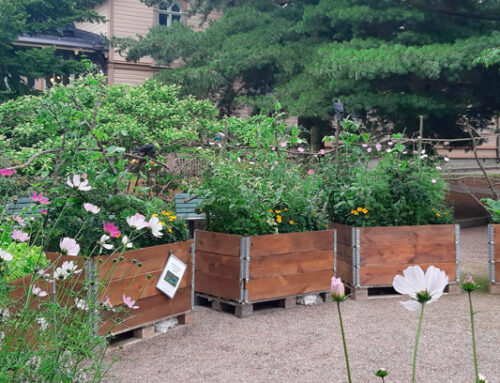 AhlmanEdun LUMOtarhuri-oppeja hyödynnetään ympäri Suomea