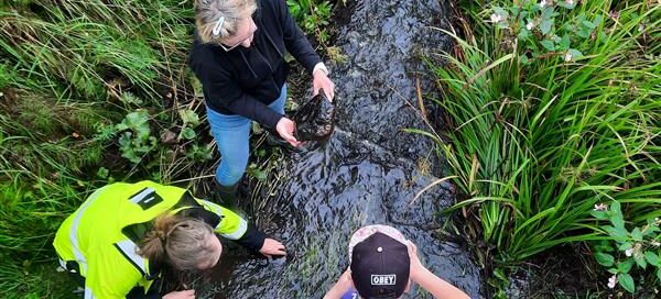 Ihmisiä kunnostamassa virtavesiä