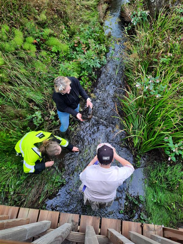 Ihmisiä kunnostamassa virtavesiä